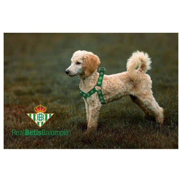 Arnés para Perros Real Betis - Image 4
