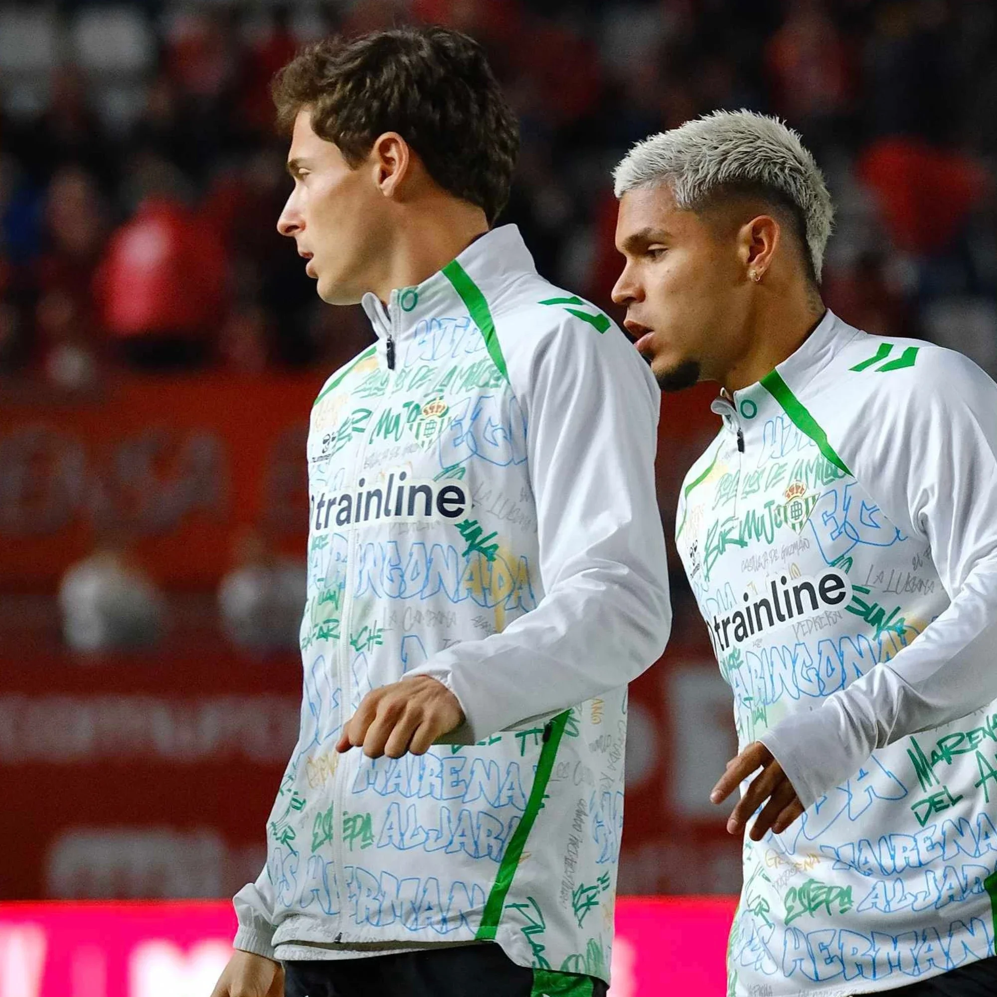 Chaqueta Real Betis Pre Partido Cremallera Adulto 25/26 - Image 8